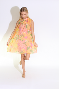 Floral Print Chiffon A-Line Dress
